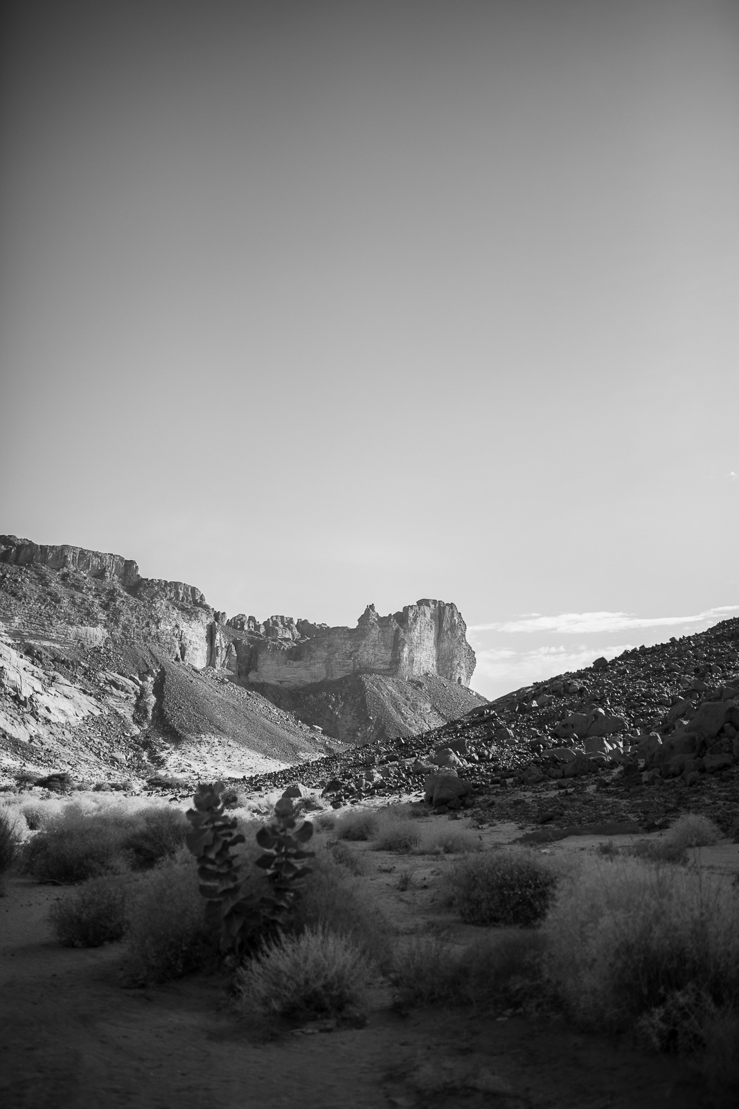 Human & Nature  outoftime 27